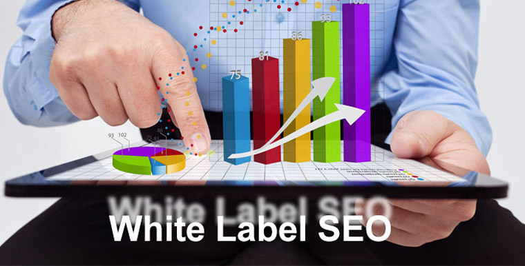 SEO Service 